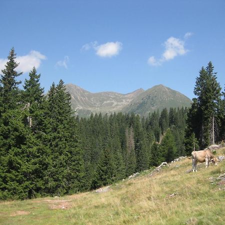 Fewo Windbichl - a45633 Parcines Zewnętrze zdjęcie